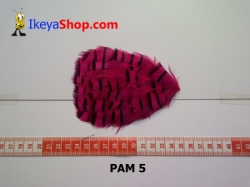 bulu PAD motif PAM 5 - feather large.jpg
